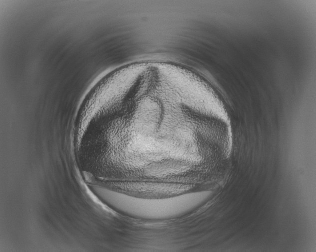 X0000080681484200701121646