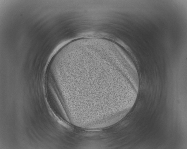 X0000080681486200701121646