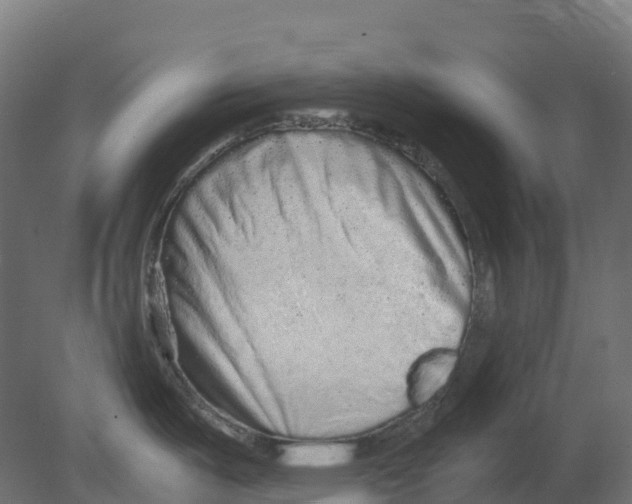 X0000080681487200701121646