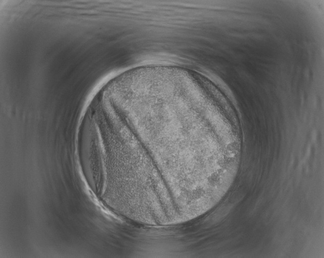 X0000080681488200701121645