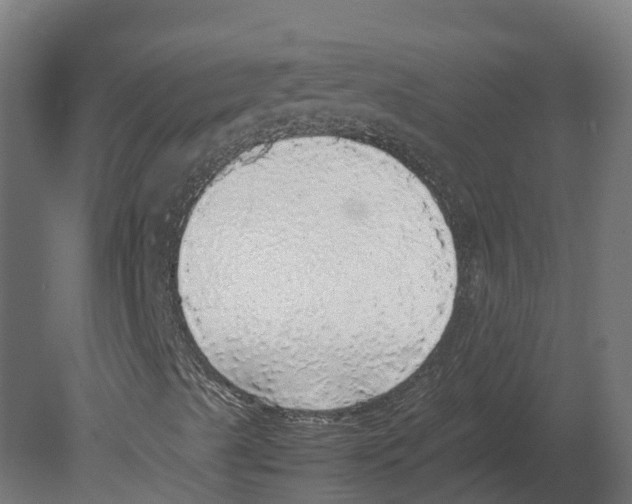 X0000080681489200701121645