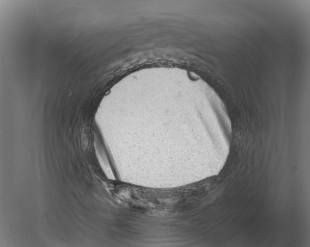 X0000080681490200701121645