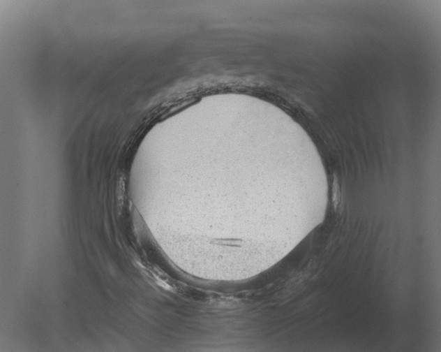 X0000080681492200701121645