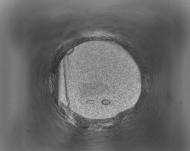 X0000080681493200701121645