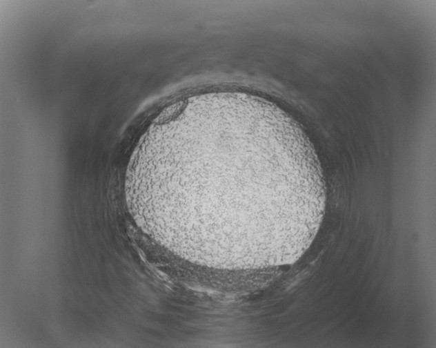 X0000080681494200701121645