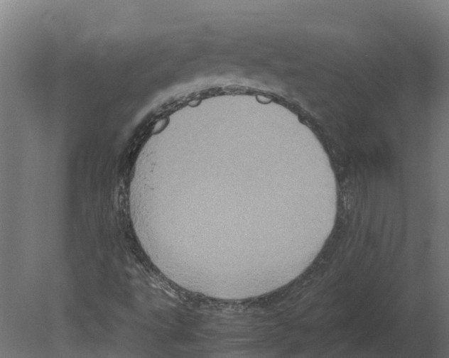 X0000080681495200701121645