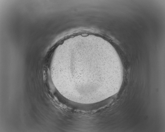 X0000080681496200701121645