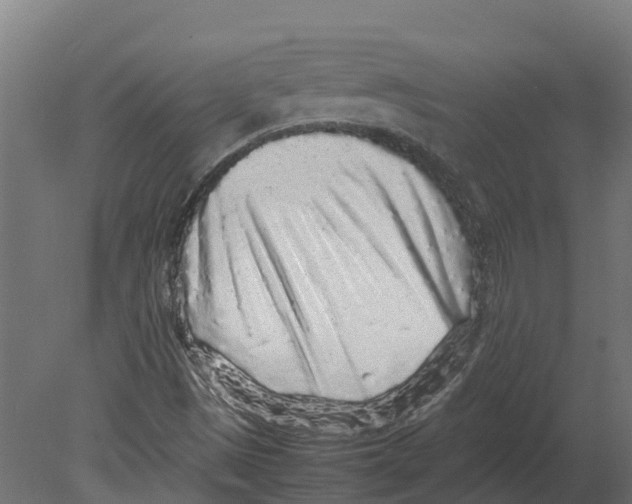 X0000080681497200701121645