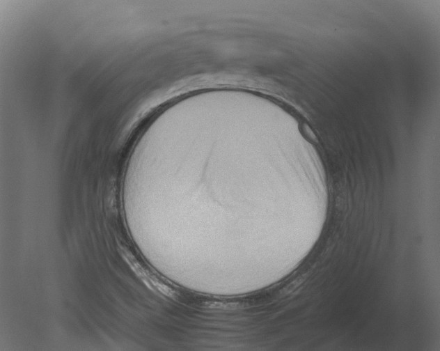 X0000080681499200701121645