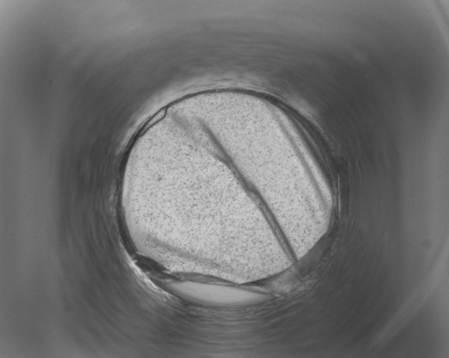 X0000080681500200701121645