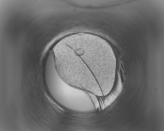 X0000080681502200701121645