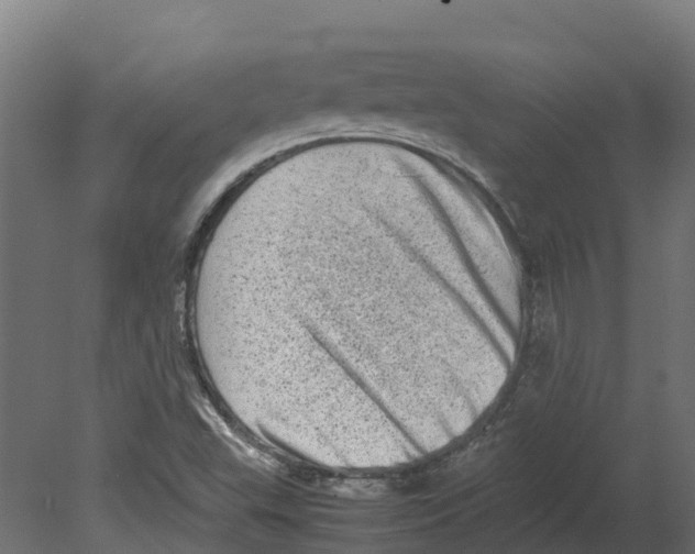 X0000080681503200701121645