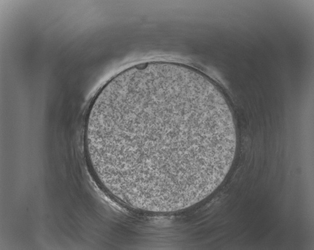 X0000080681504200701121645