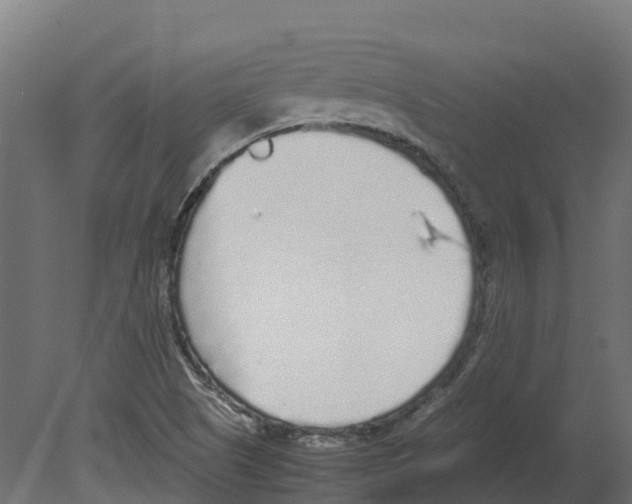 X0000080681505200701121645