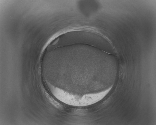 X0000080681506200701121645