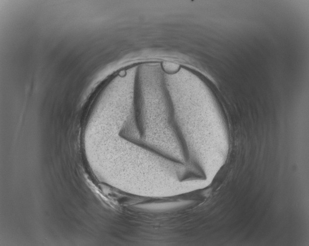 X0000080681507200701121645