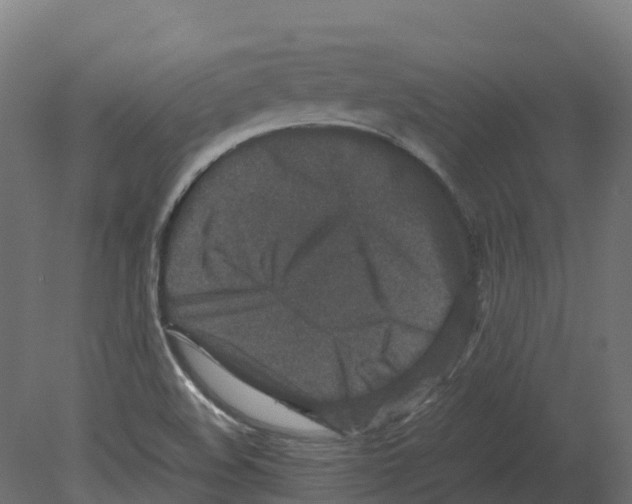 X0000080681508200701121645