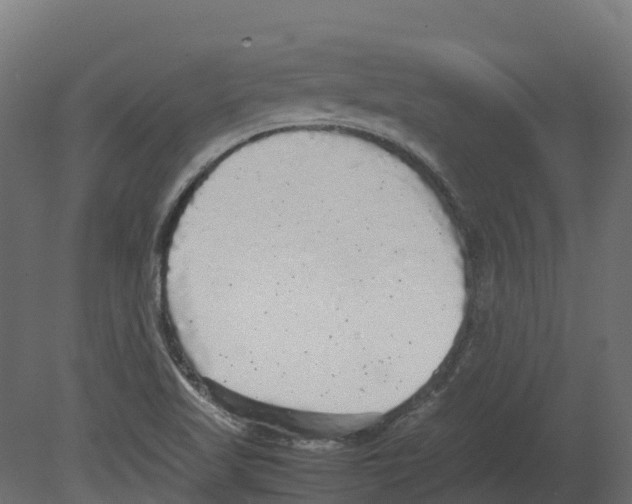 X0000080681509200701121645