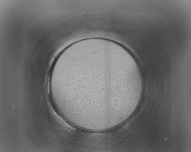 X0000080681510200701121645