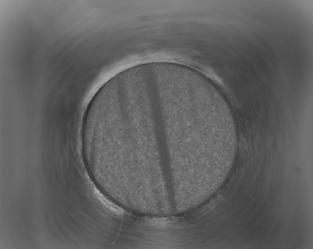 X0000080681512200701121645