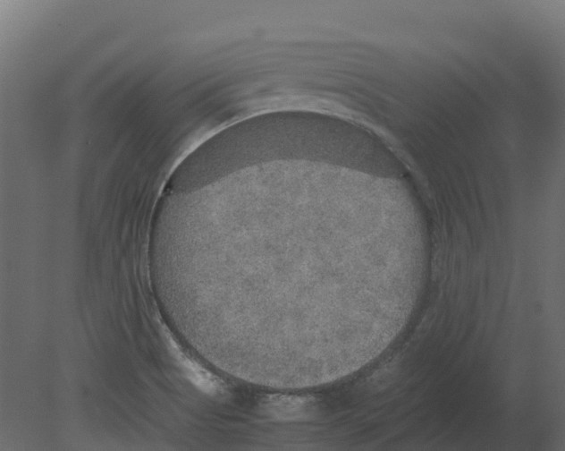 X0000080681513200701121645