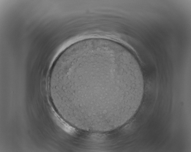 X0000080681514200701121645