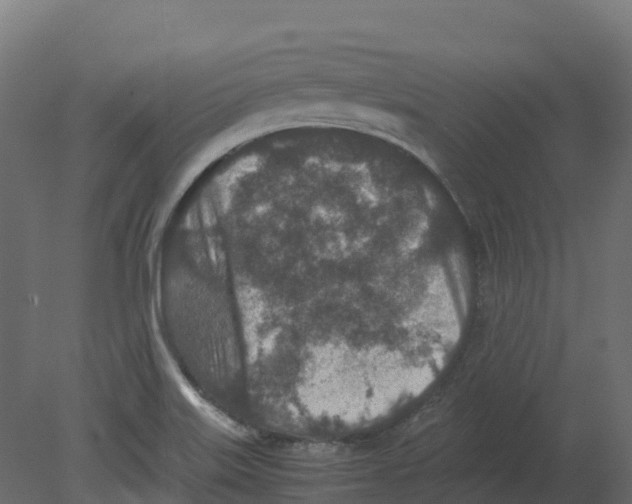 X0000080681515200701121645