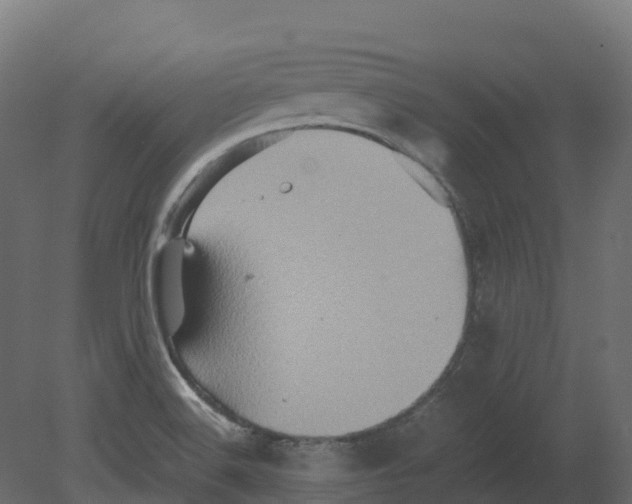 X0000080681516200701121645