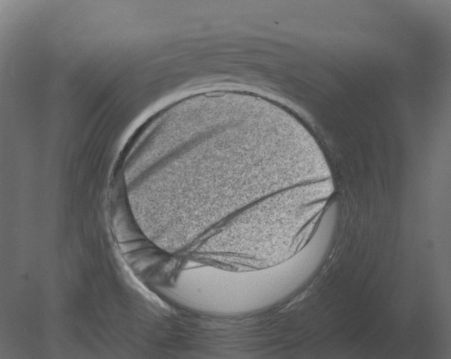 X0000080681518200701121645