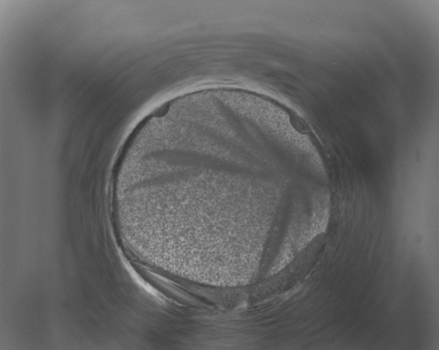 X0000080681519200701121645