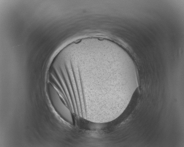 X0000080681520200701121645