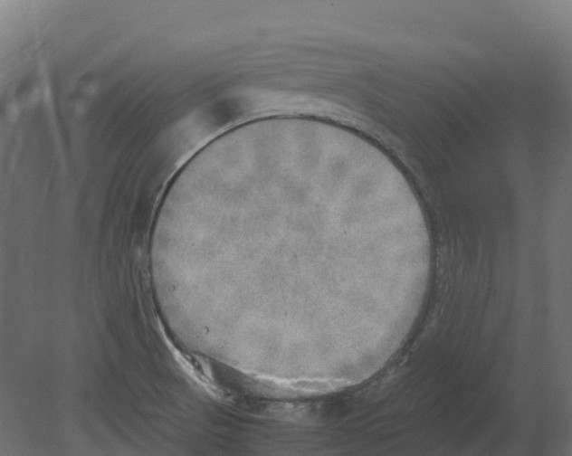 X0000080681521200701121645