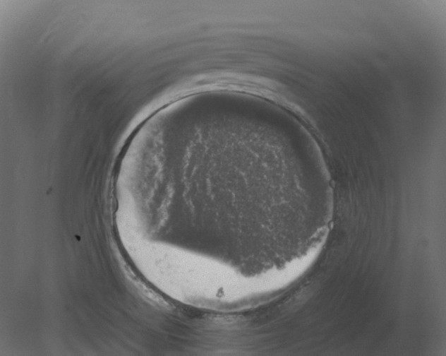 X0000080681522200701121645