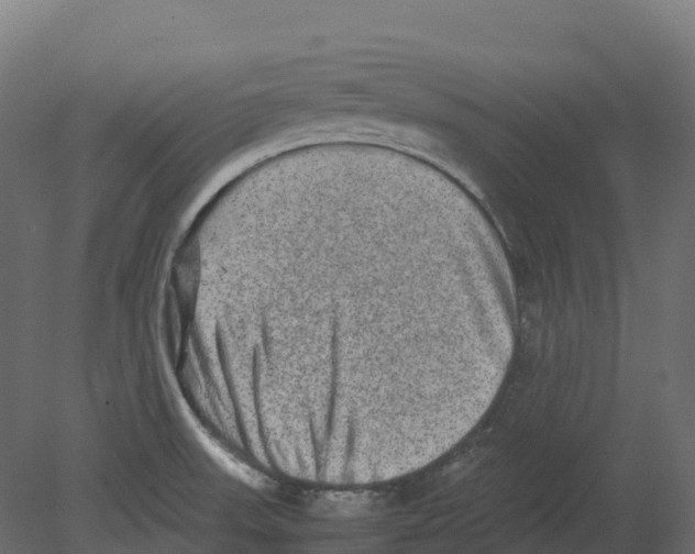 X0000080681523200701121645