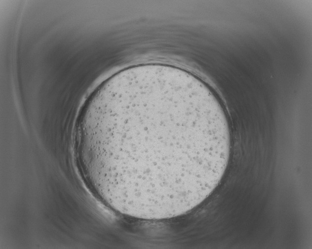 X0000080681525200701121645