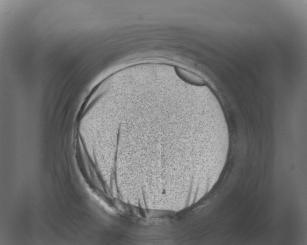 X0000080681526200701121645