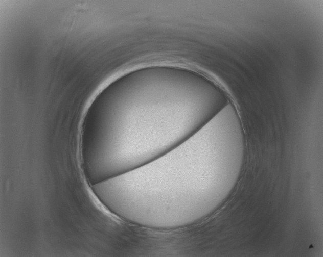 X0000080681528200701121645