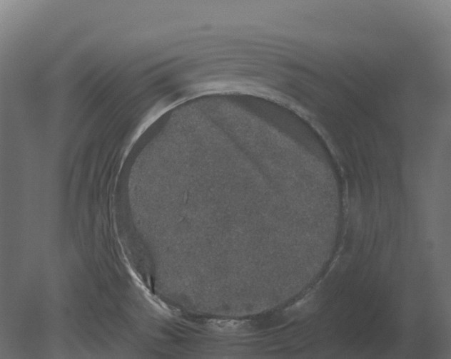 X0000080681529200701121645