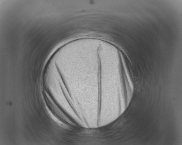 X0000080681531200701121645