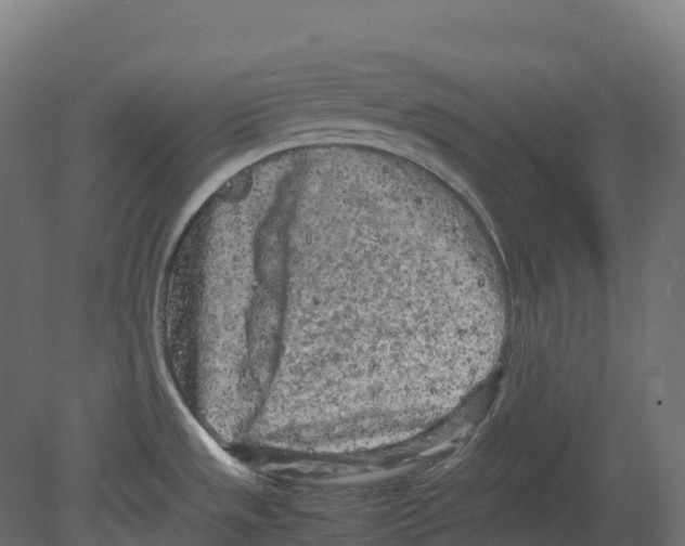 X0000080681533200701121645