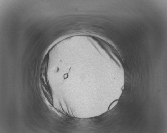 X0000080681534200701121645