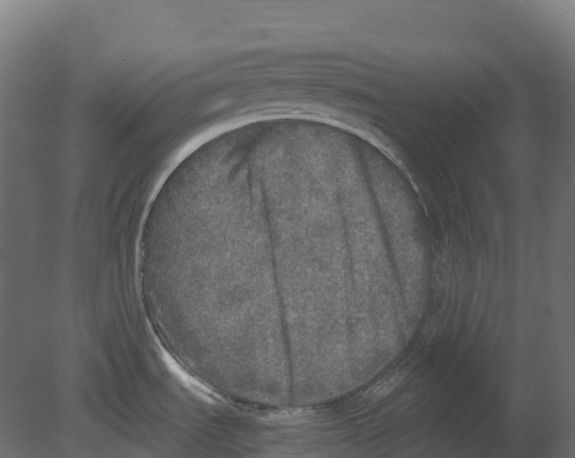 X0000080681535200701121645