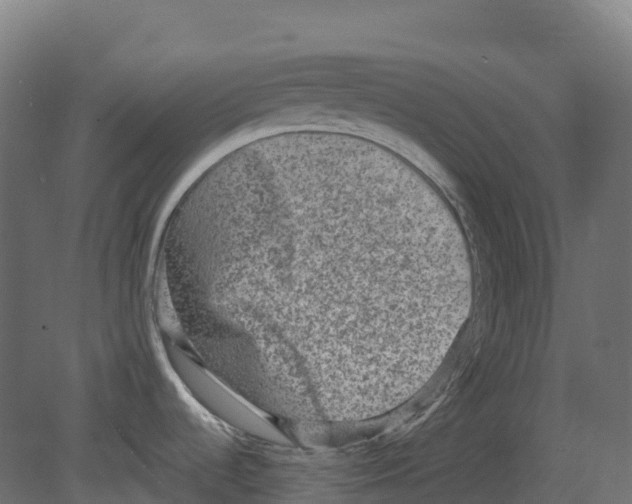 X0000080681536200701121645