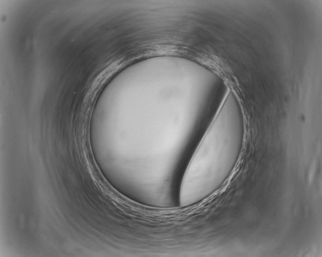 X0000080690001200612150823