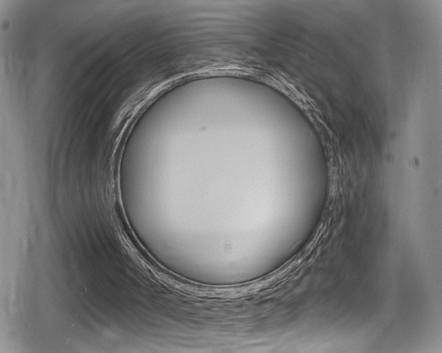 X0000080690002200612150823