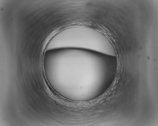 X0000080690003200612150823