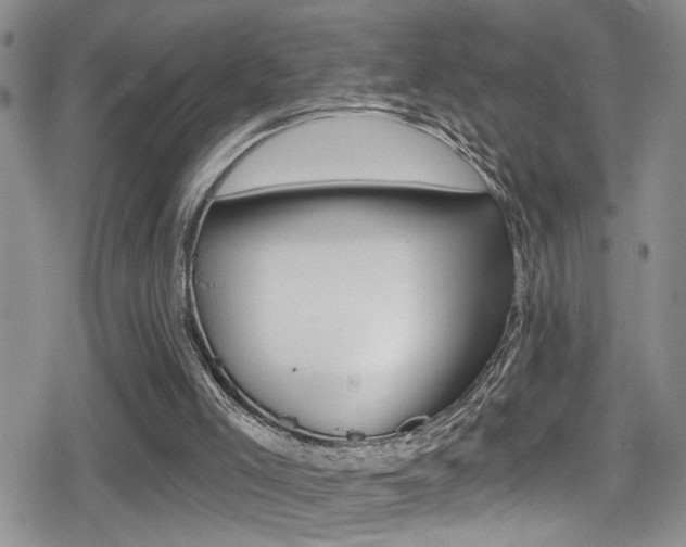 X0000080690005200612150823