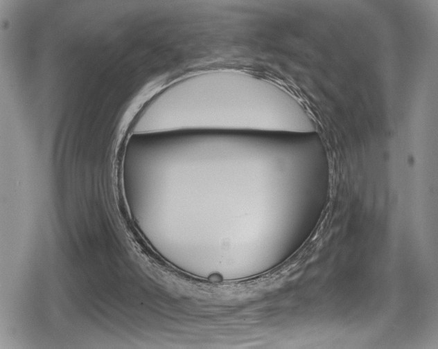 X0000080690006200612150823