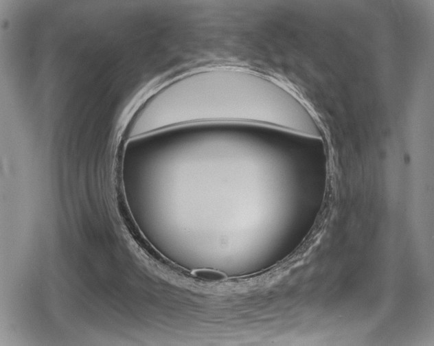 X0000080690007200612150823