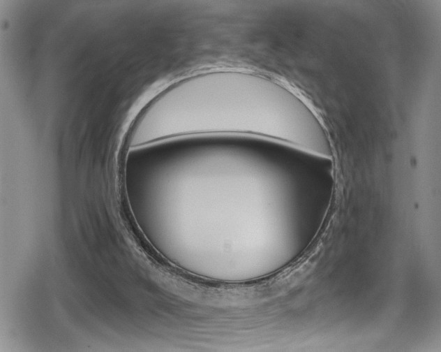 X0000080690008200612150823